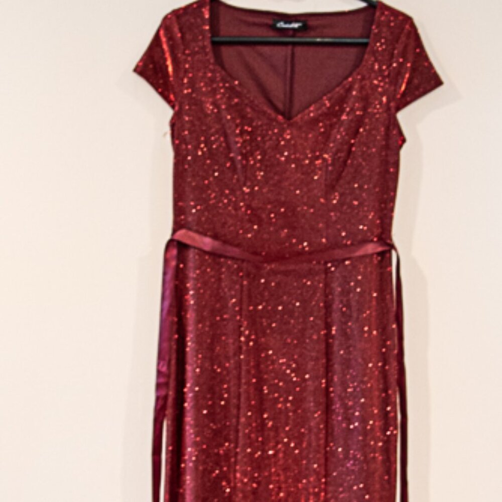 Candalite floor length gown Burgundy size med